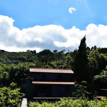 Akivillas Pico Light Holiday home *